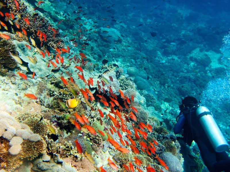 Batu Kelebit