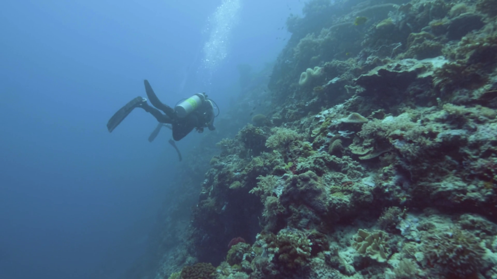Diving in Tulamben Bali