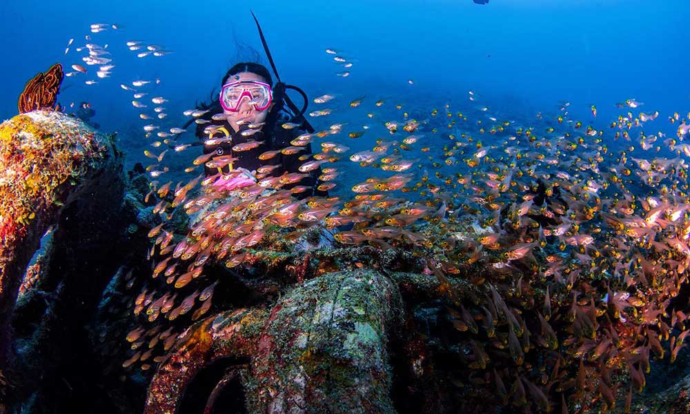 Coral Garden