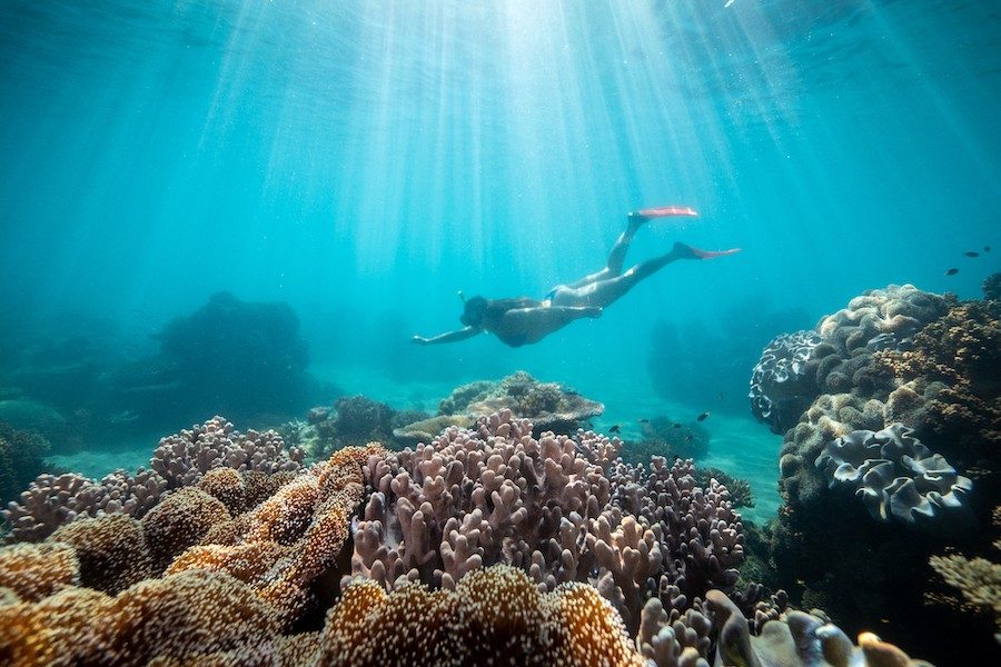 Best Snorkeling Tours From Airlie Beach