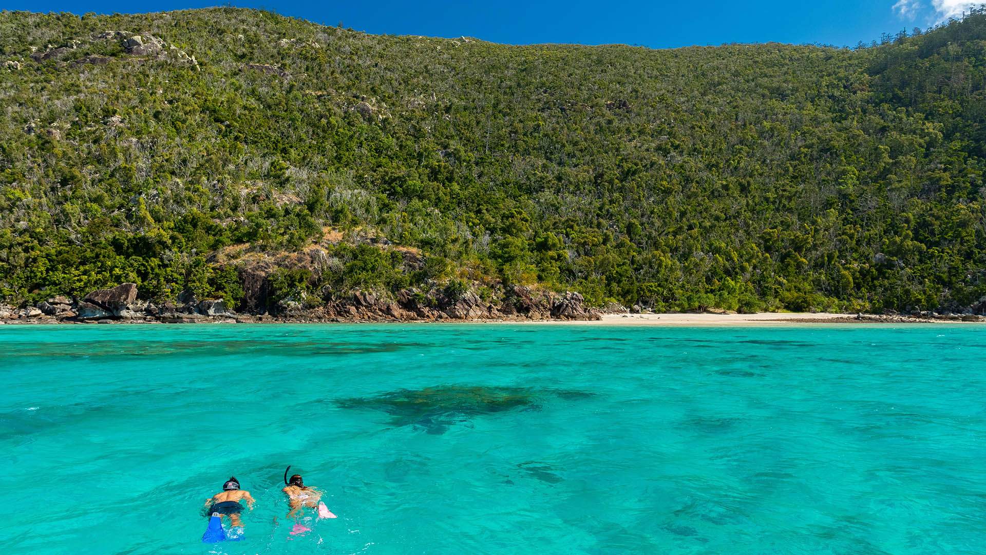 Hook Island Reef