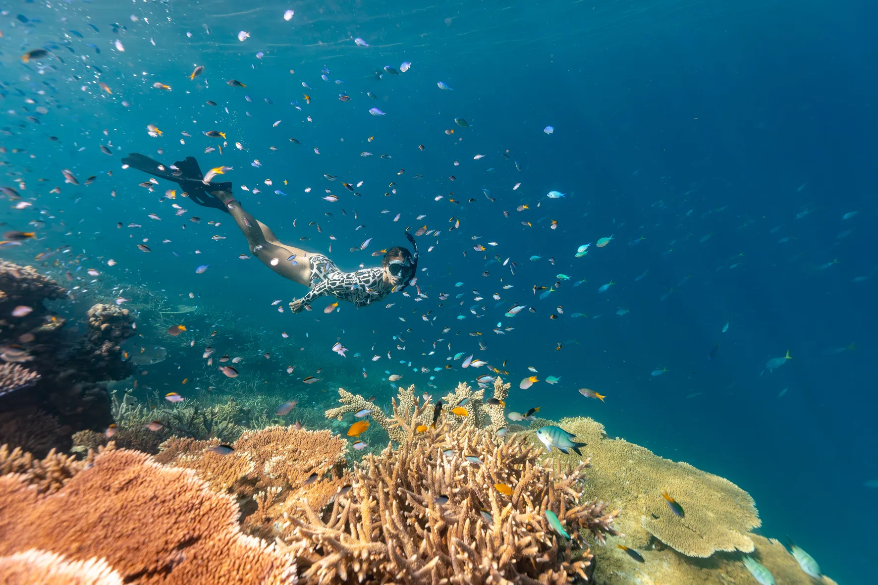 Airlie Beach Snorkeling Day Trips