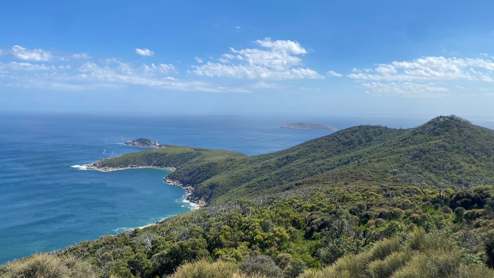 Tongue Point Track