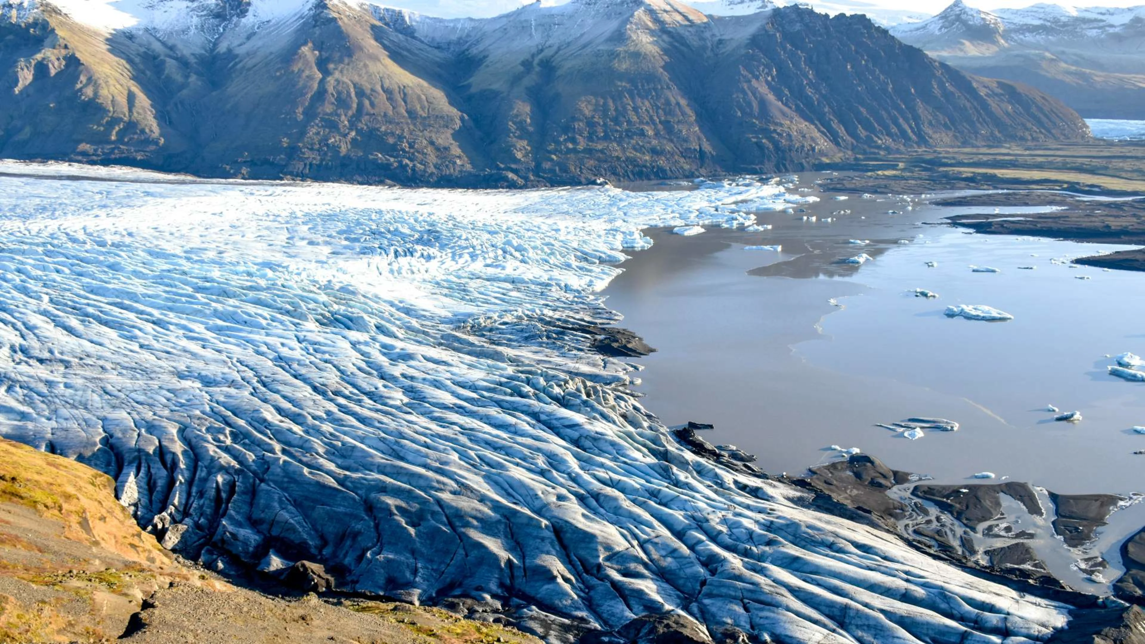 Svínafelljökull
