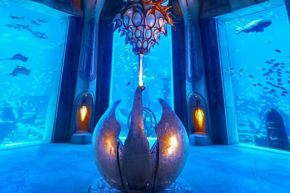 Lost Chambers Aquarium Tickets