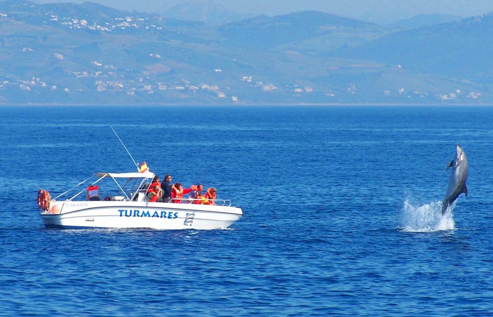 Dolphin Tarifa Boat