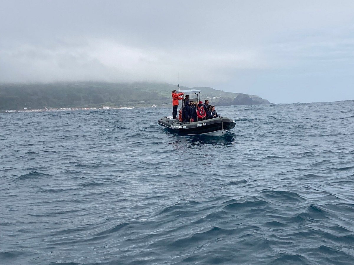 Semi-Rigid Zodiac Boats