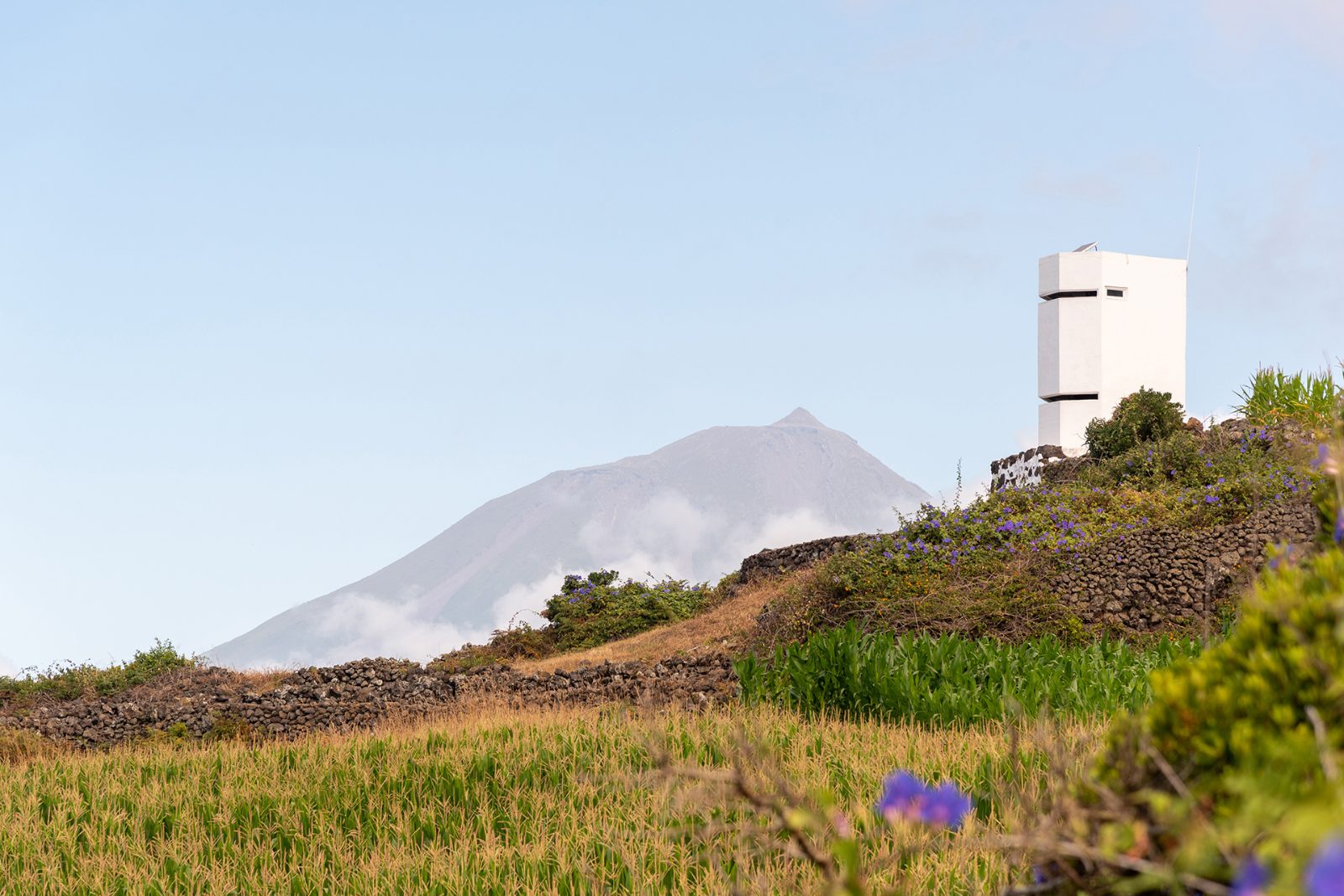 Vigia da Queimada