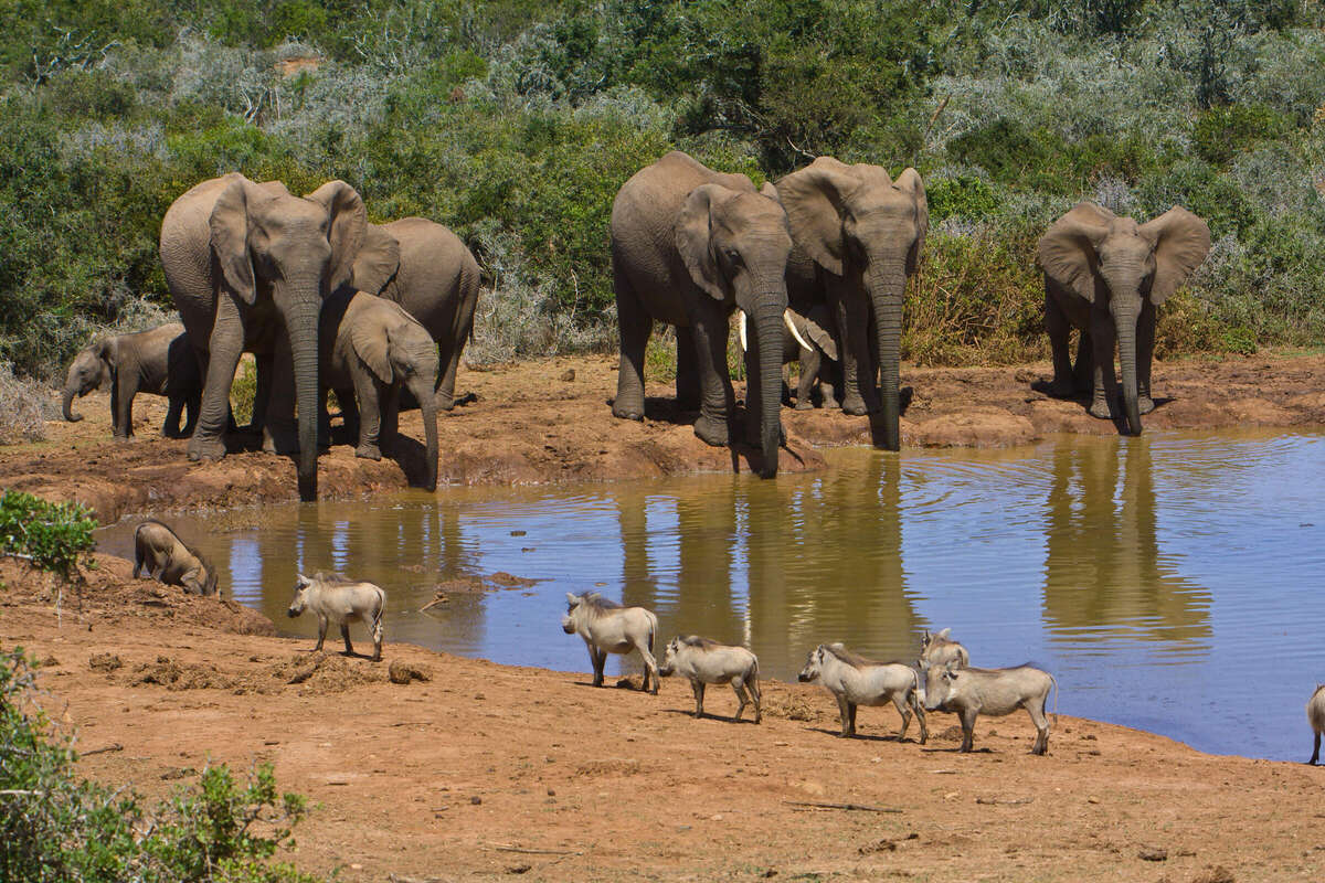 Main Camp Waterhole