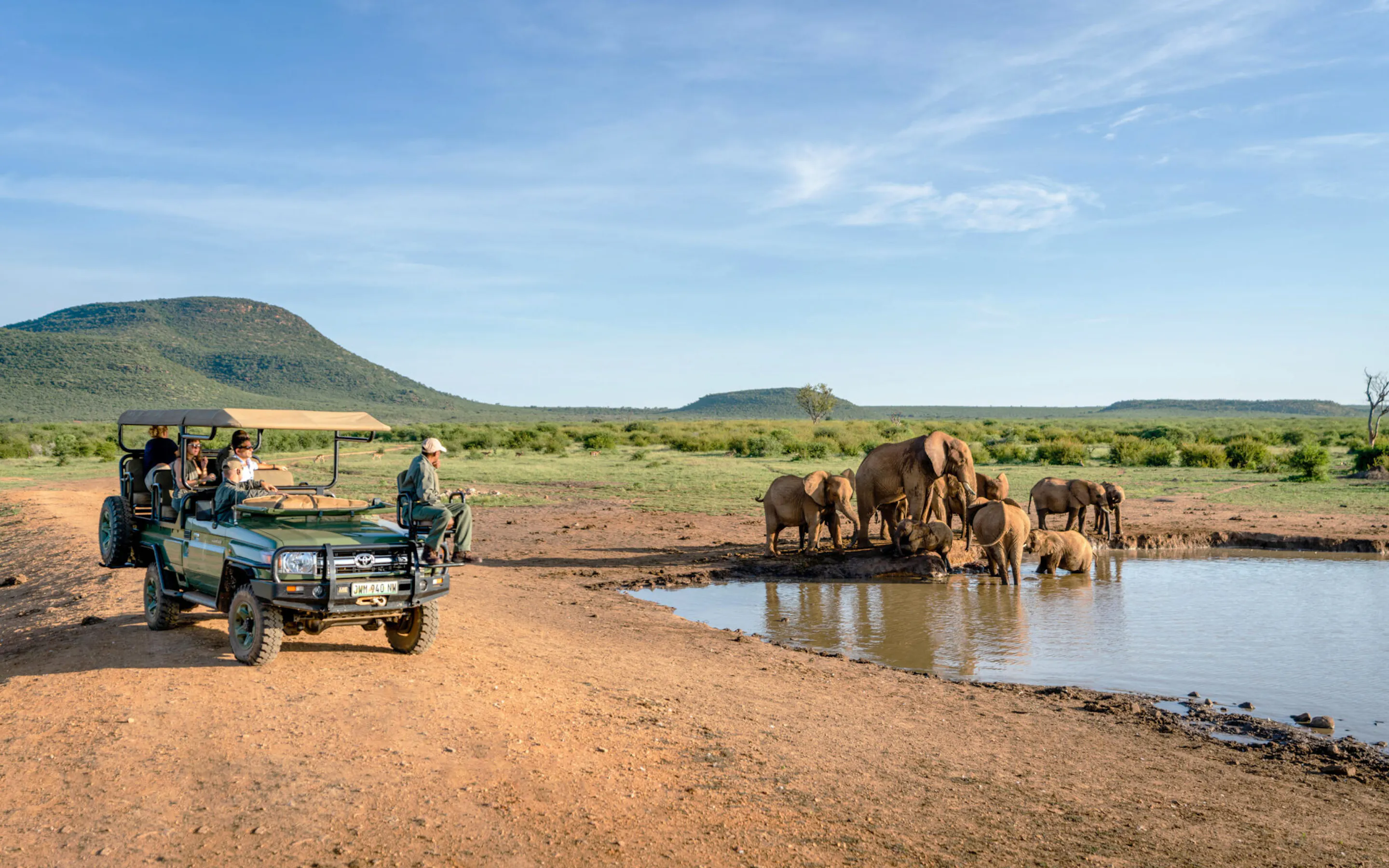 Port Elizabeth Day Safari