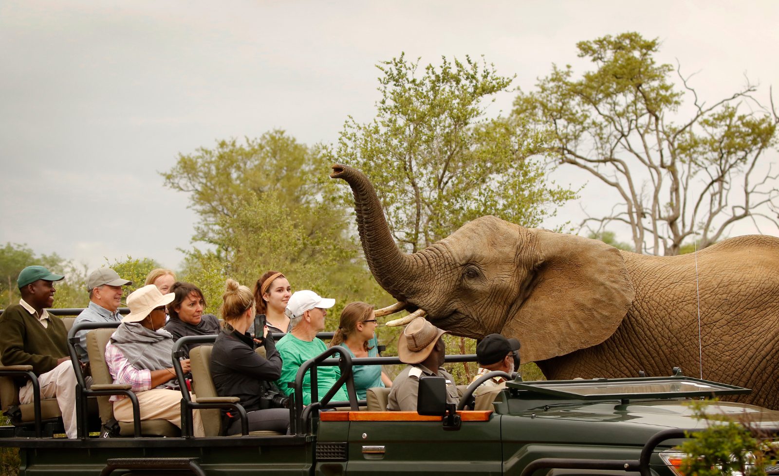 Private Safari Port Elizabeth