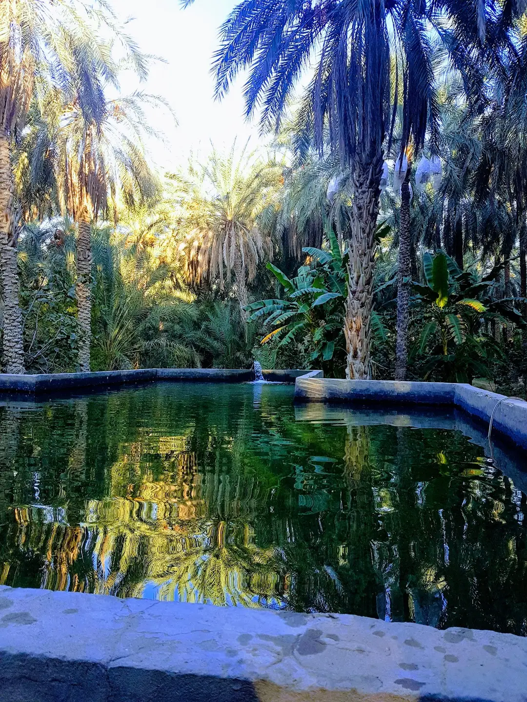 Bahariya Oasis