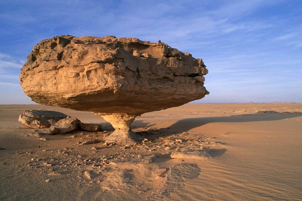 The Mushroom Formation