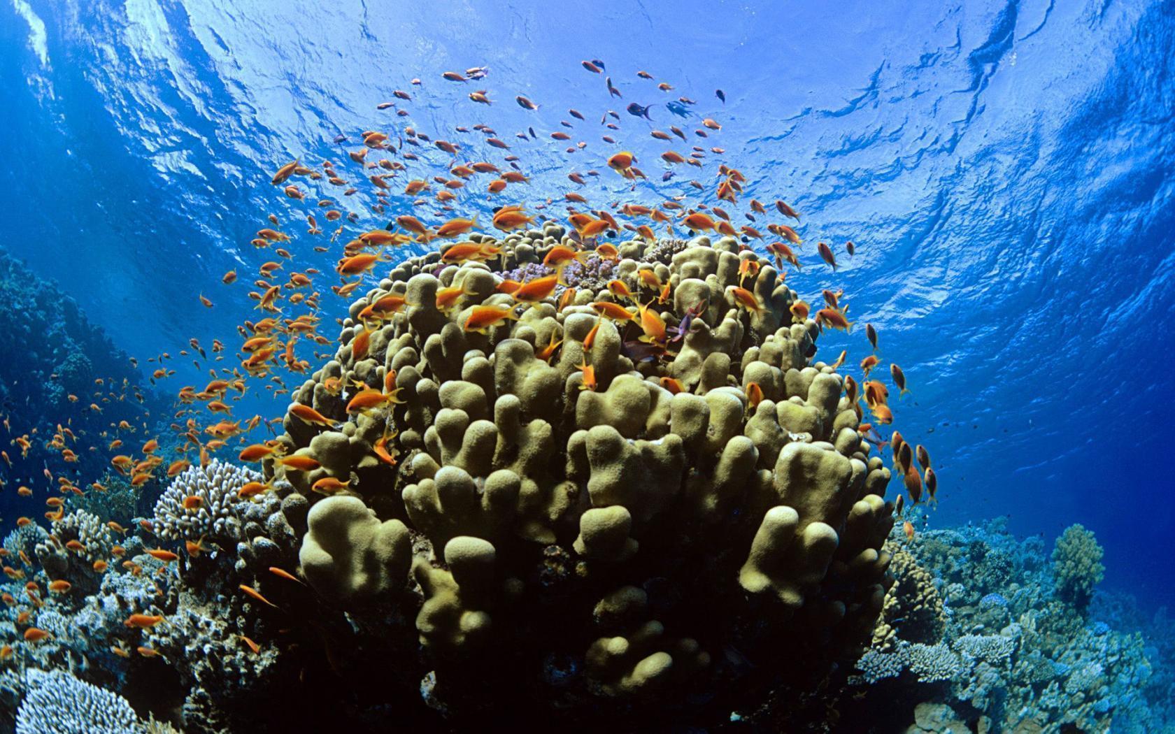 Marine Exploration