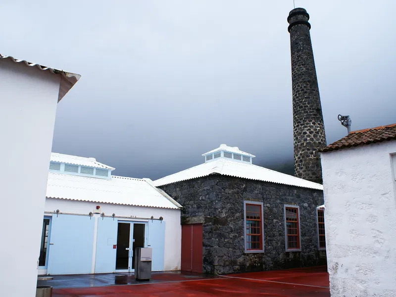 Centro de Artes e de Ciências do Mar