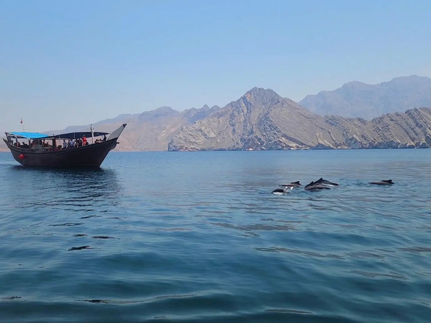 Musandam Private Dhow Cruise