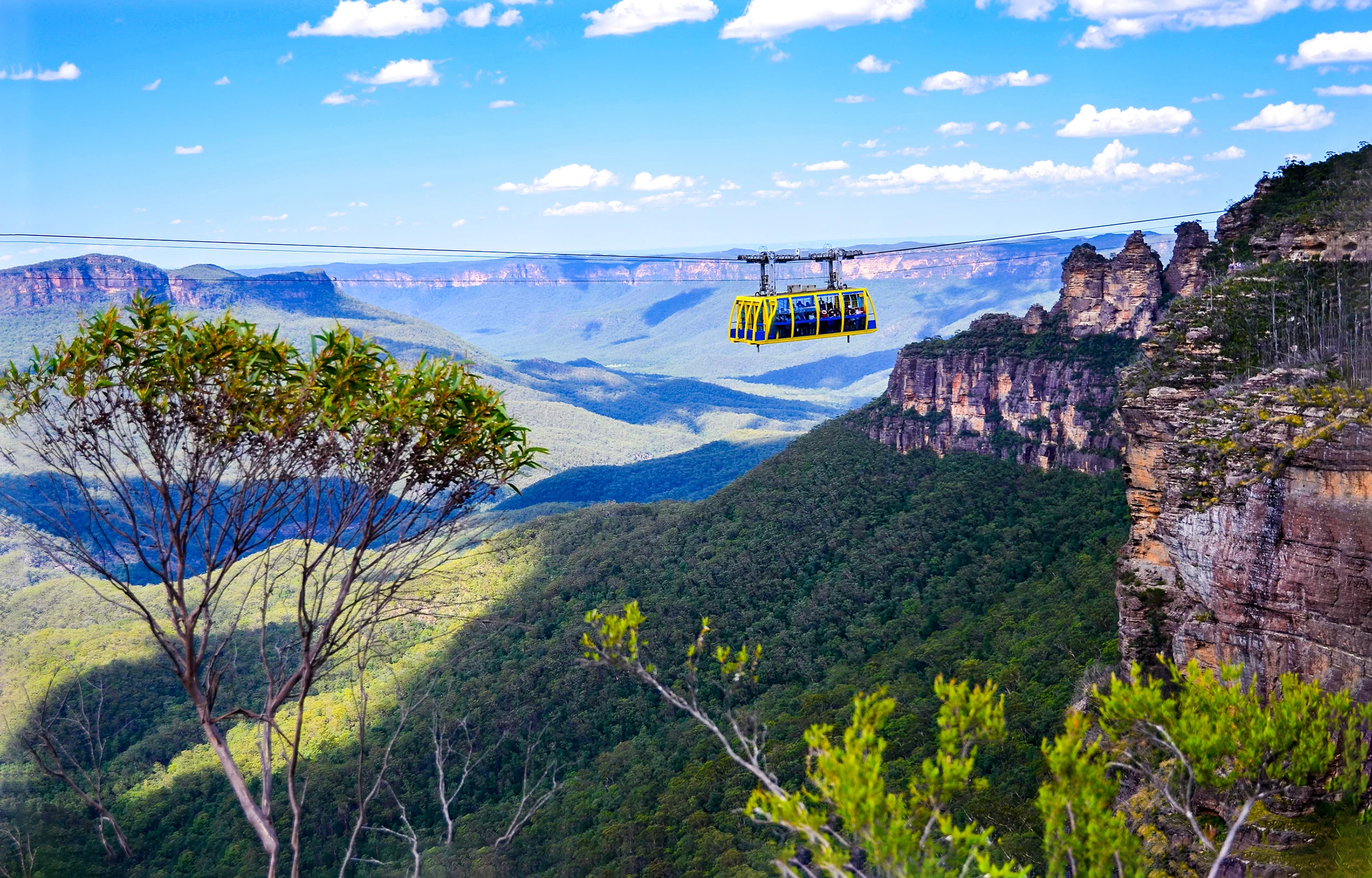 Scenic World