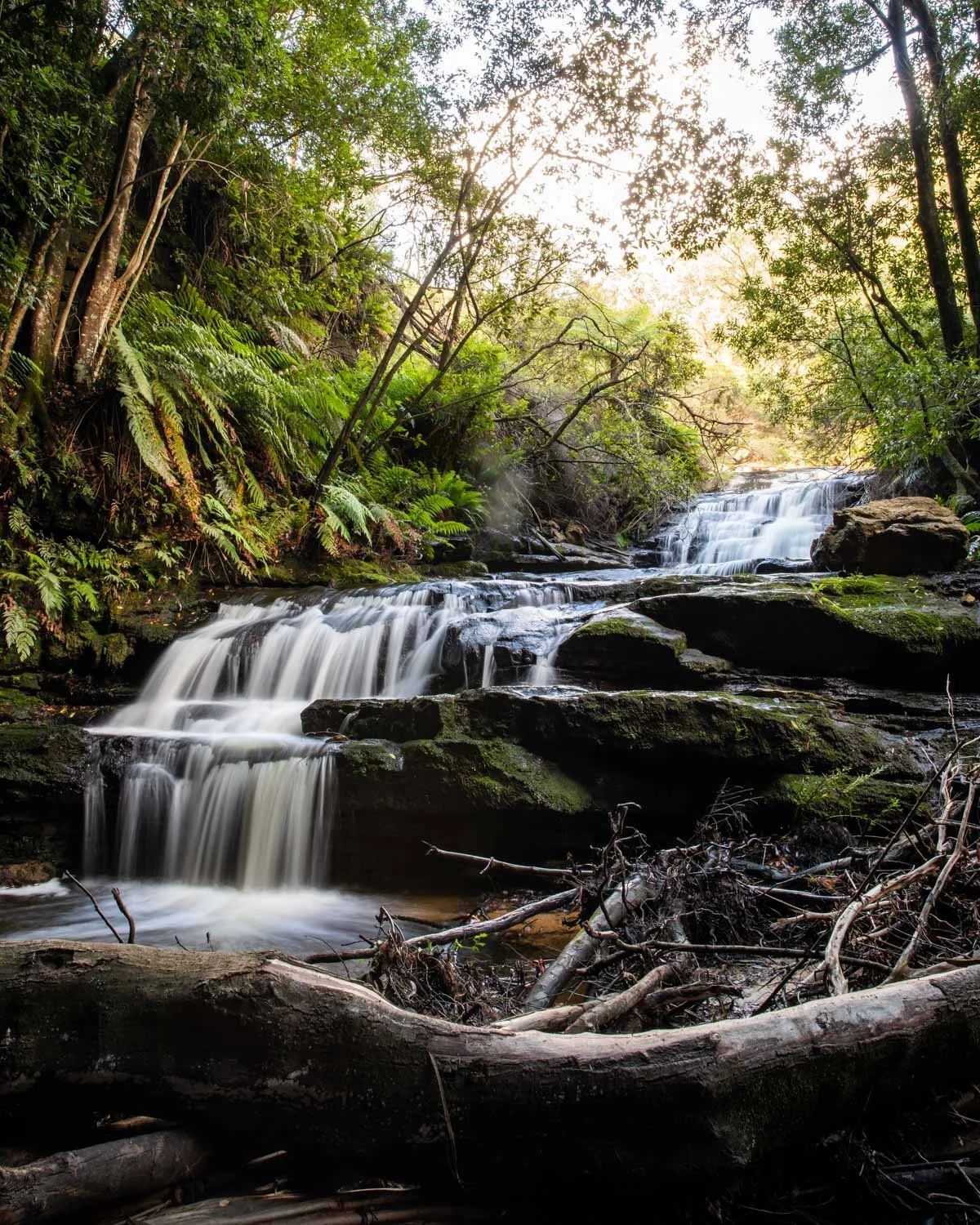 Leura Cascades