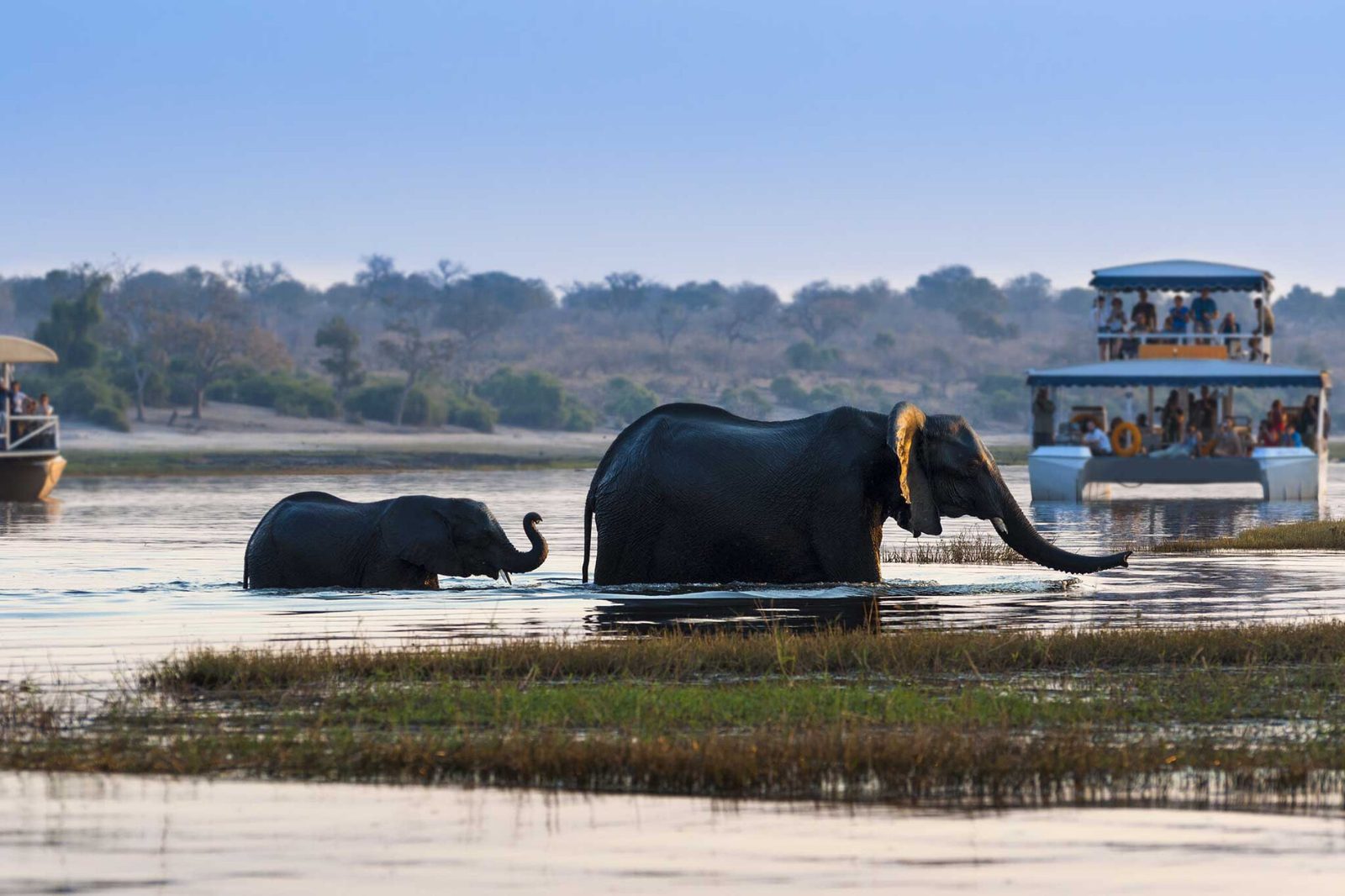Chobe National Park Safari Packages