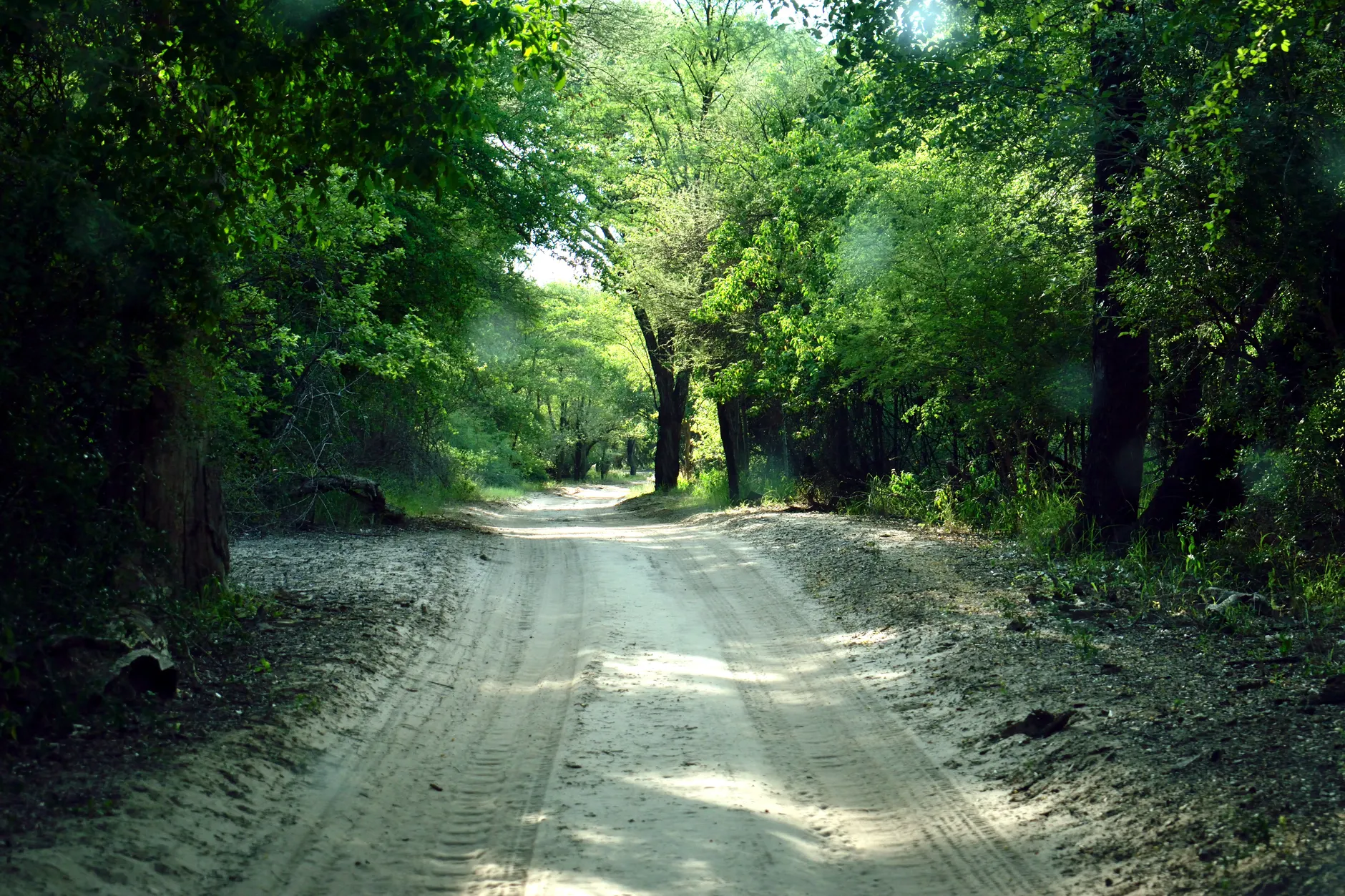 Serondela Area