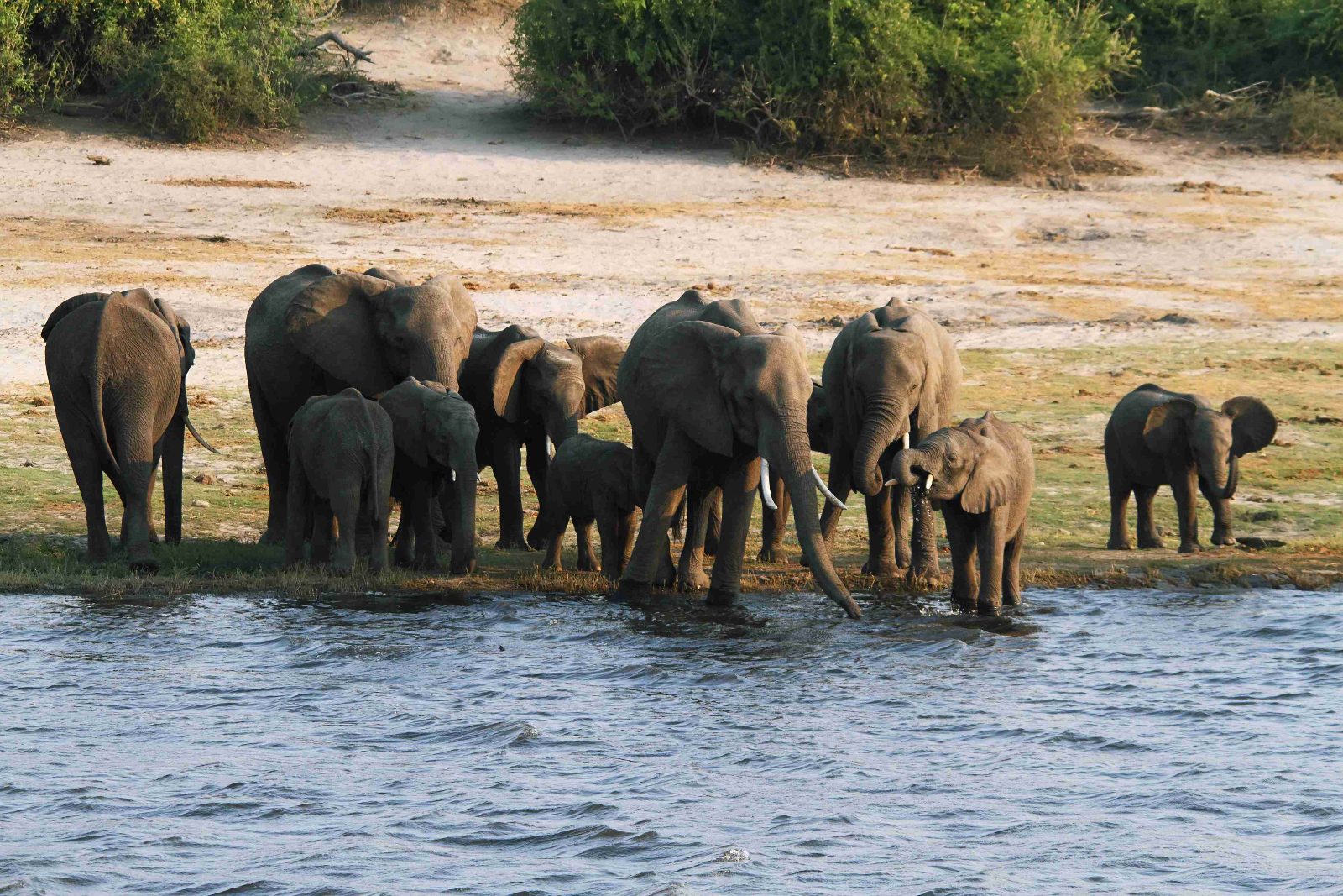 Chobe Riverfront
