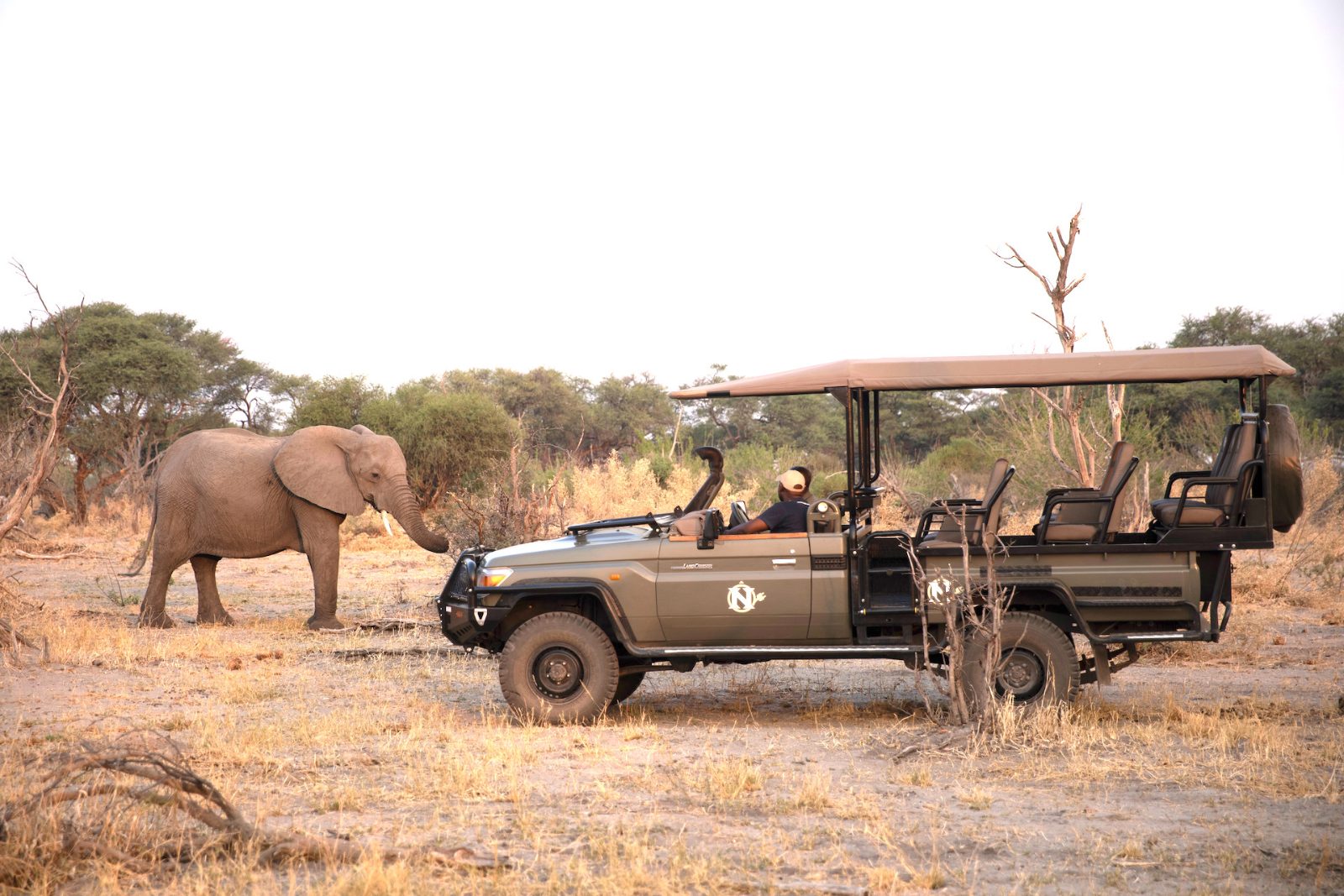 Chobe National Park Full Day Safari