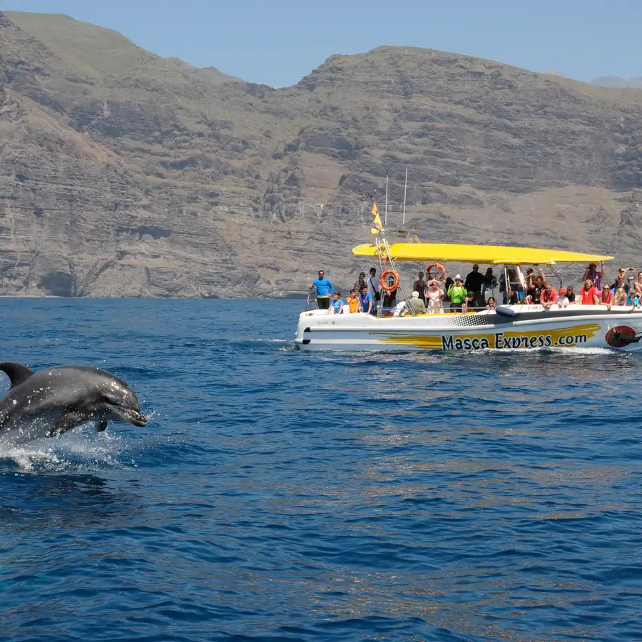 Los Gigantes Whale and Dolphin Watching