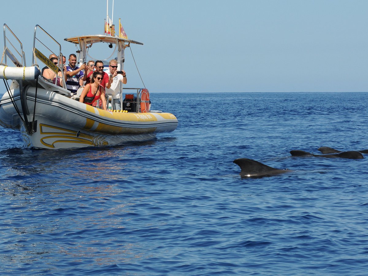 Teno-Rasca Marine Strip