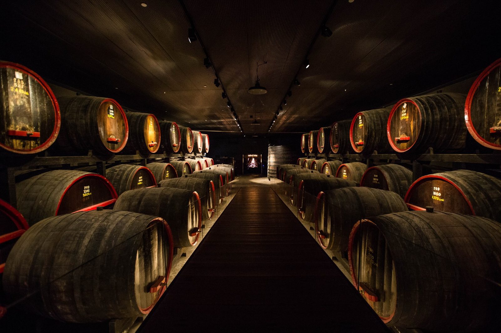 Private Wine Tours Busselton