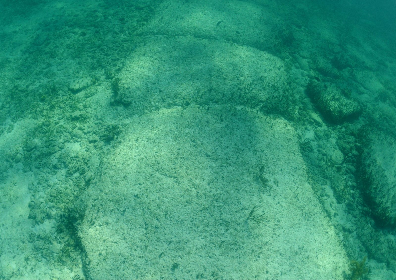 Bimini Road