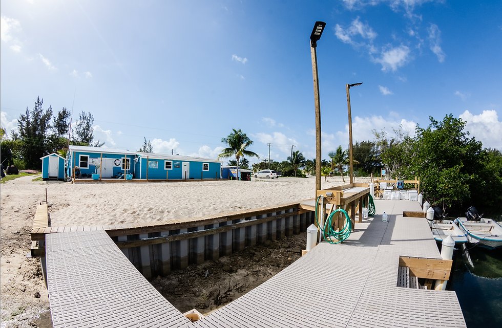 Bimini Shark Lab