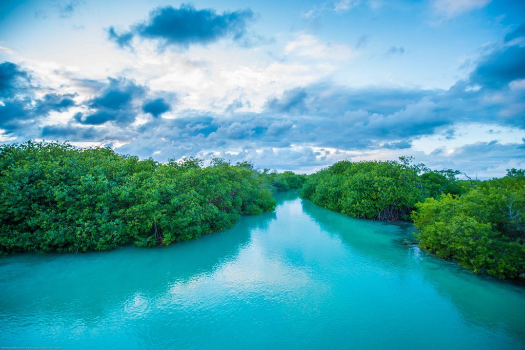 Floating Canal Channel