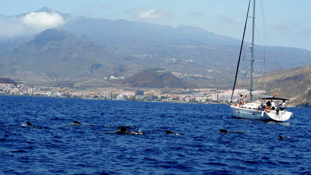 Teno-Rasca Marine Strip