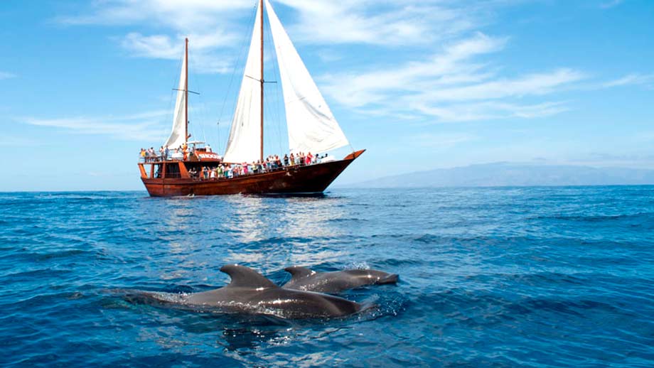 Sailing and Ocean Search