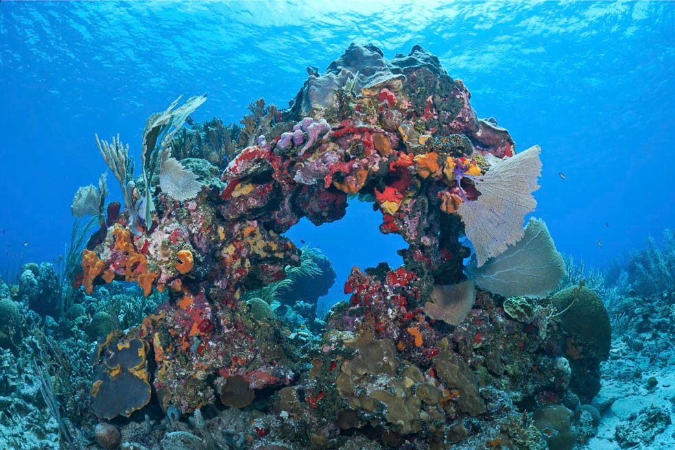 Mesoamerican Barrier Reef