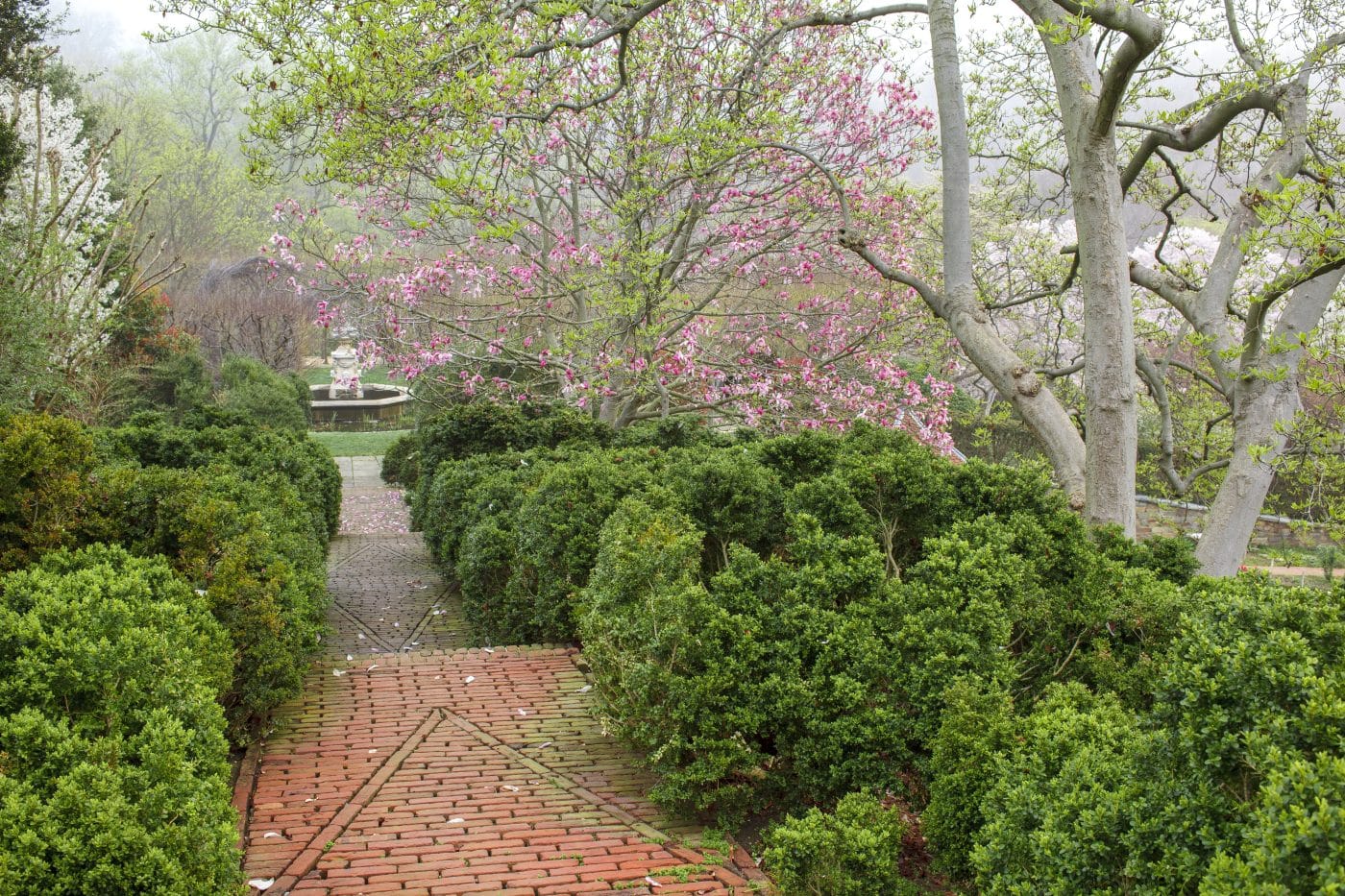 Beatrix Pavilion Garden Paths