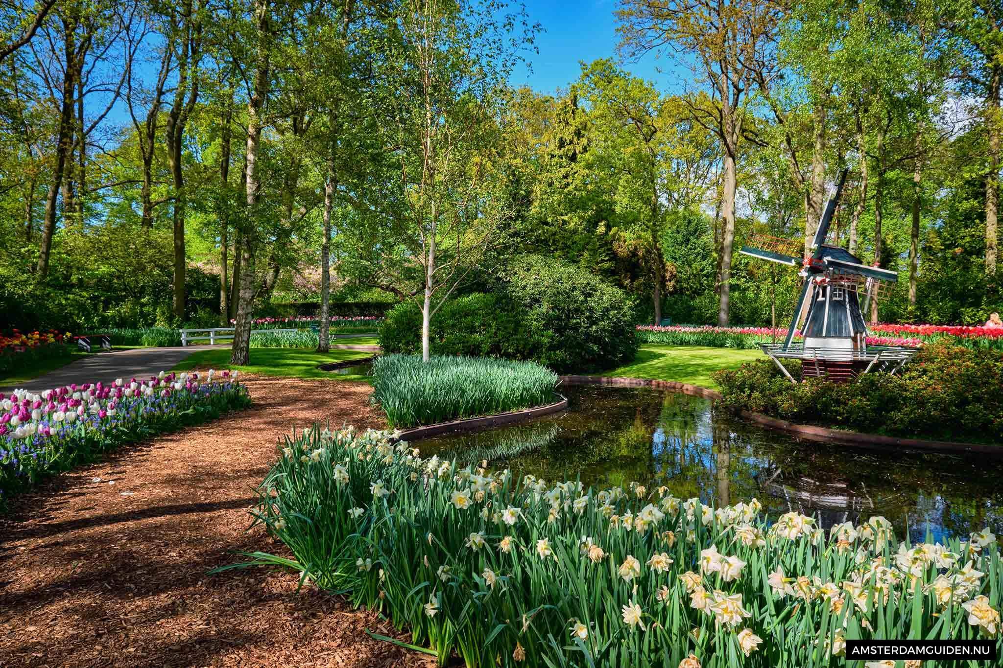 The Historical Garden