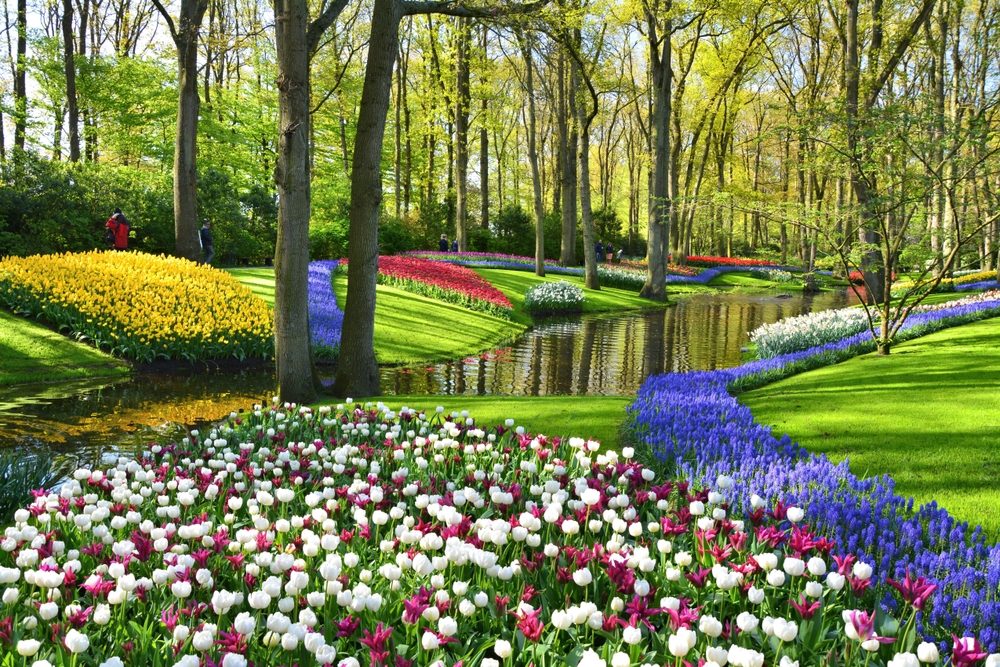 Floating Garden