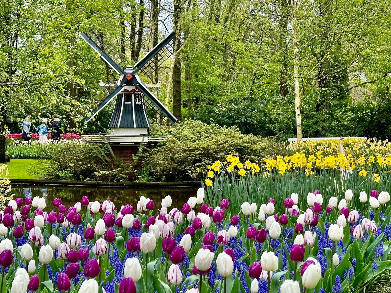 The Windmill