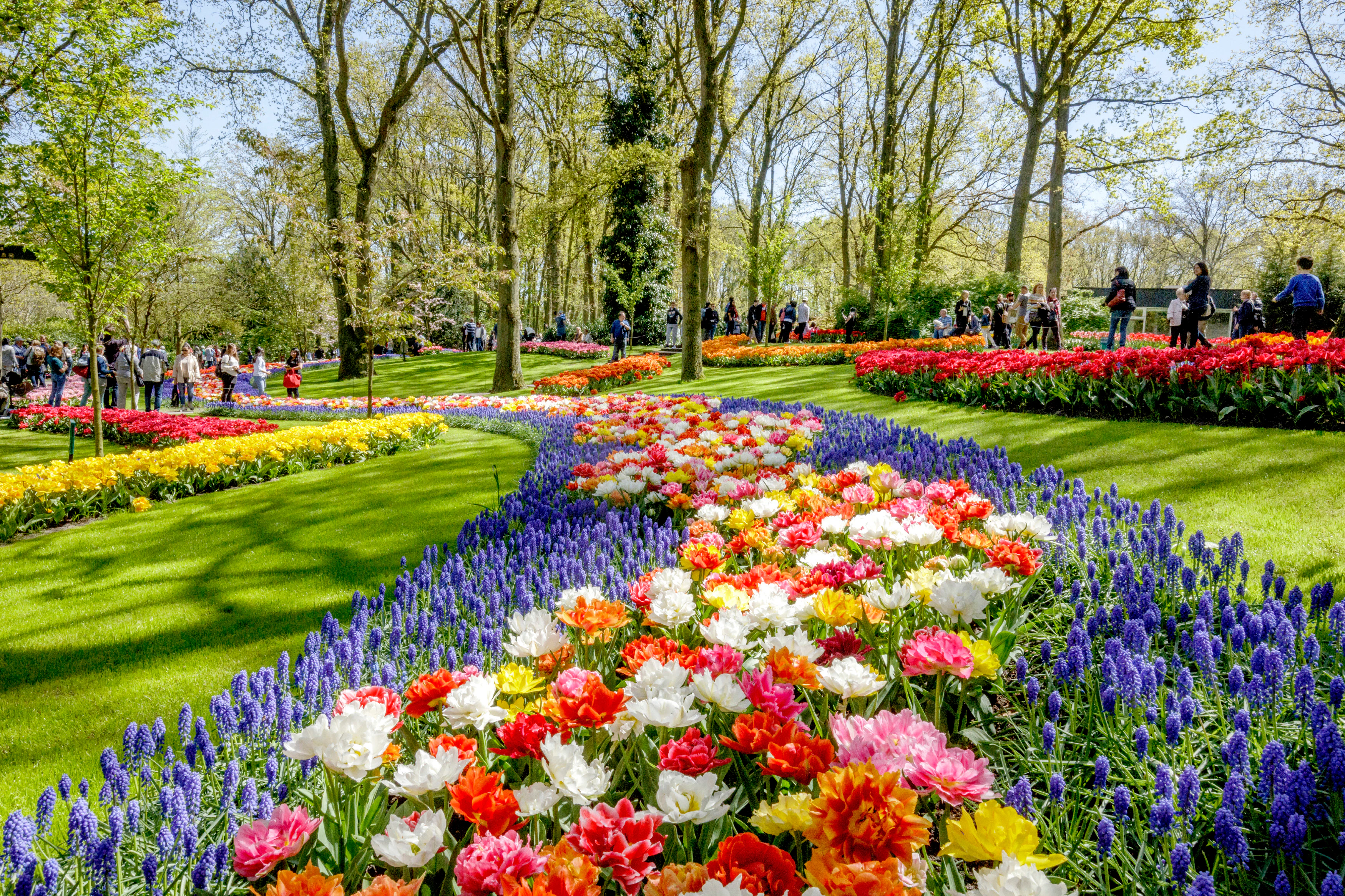 Keukenhof Tours From Amsterdam