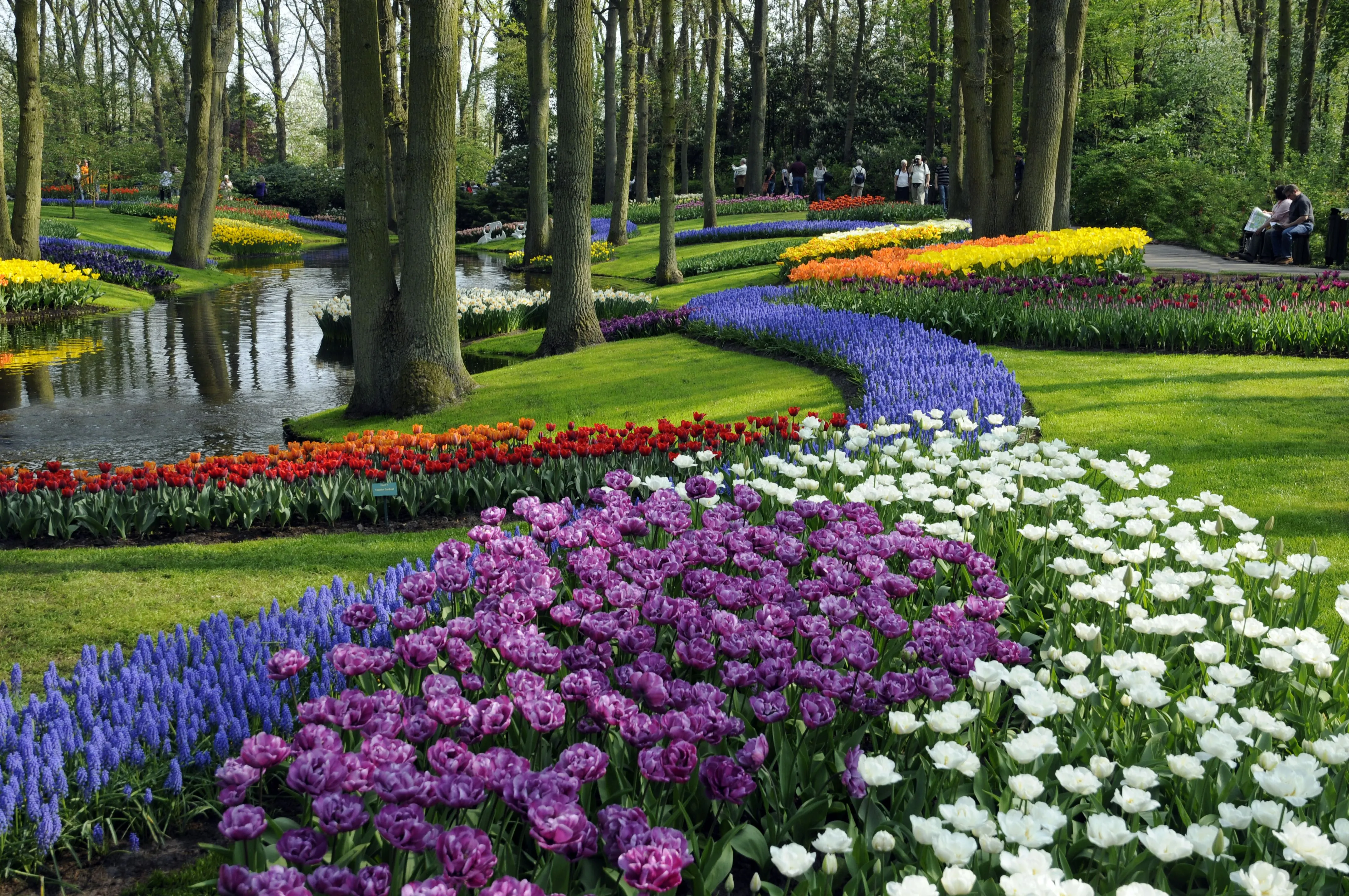 Themed Gardens