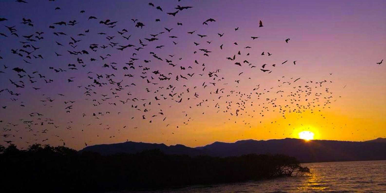 Kalong Island Sunset
