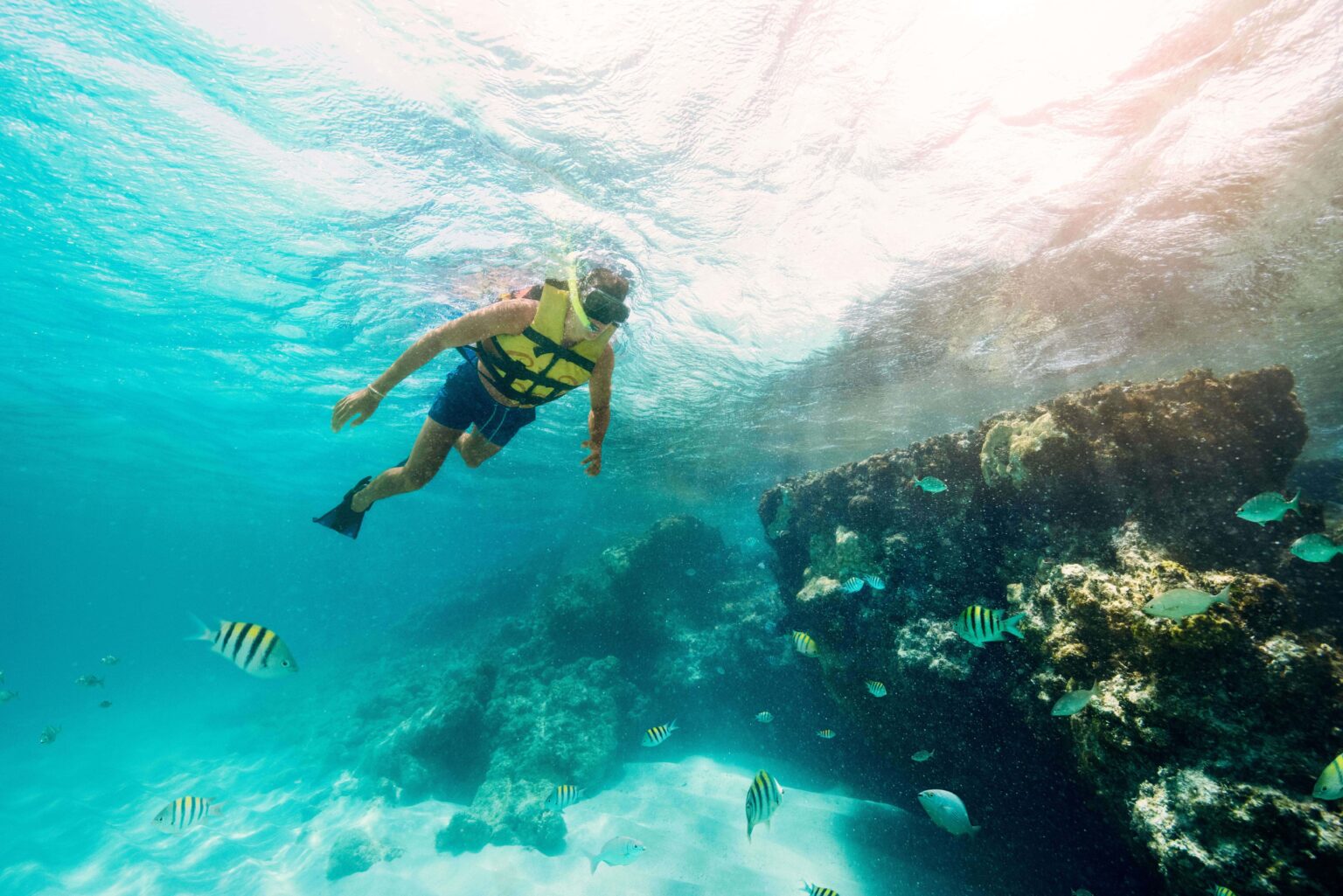 Reef Snorkeling Area