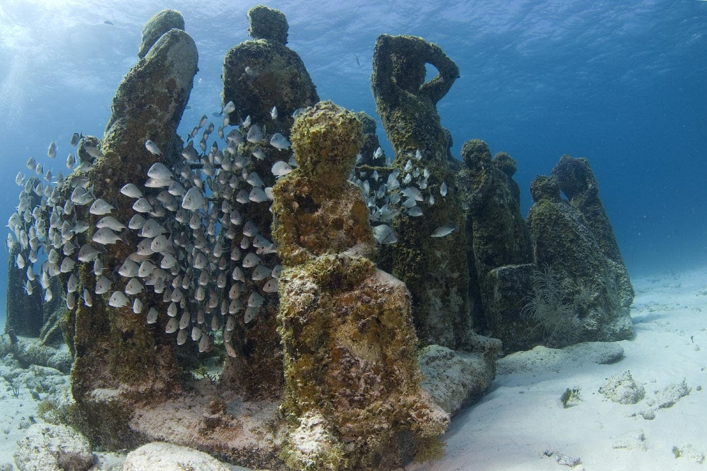 MUSA Manchones Reef