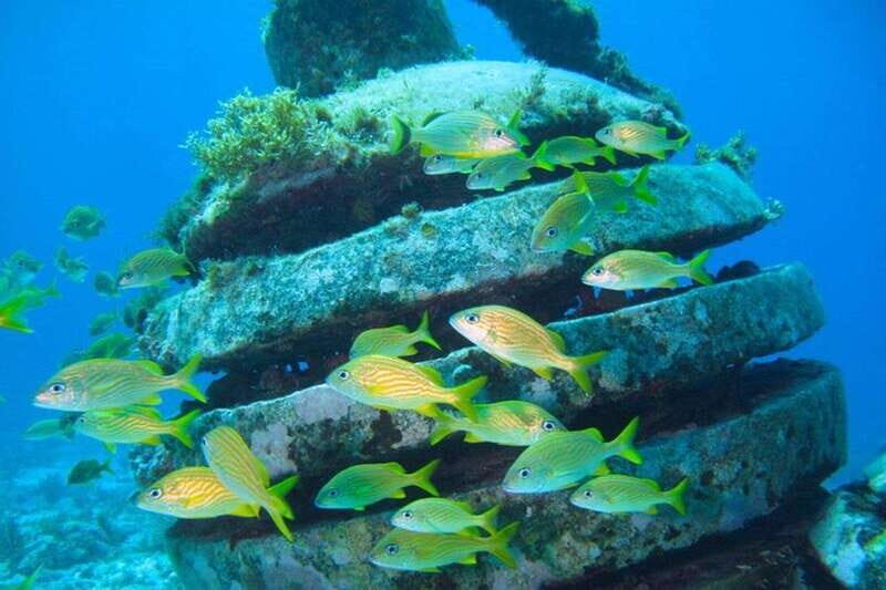 Arrecife Manchones
