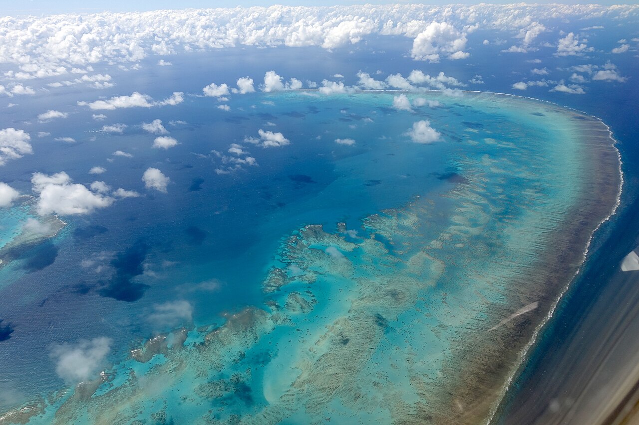 Arlington Reef Outer Edge