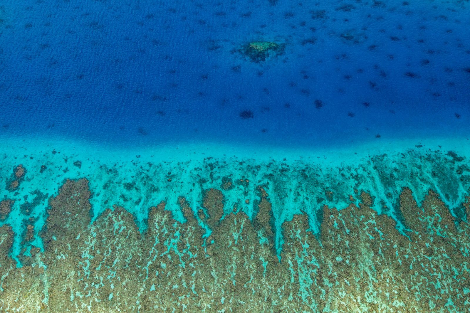 The Ribbon Reefs