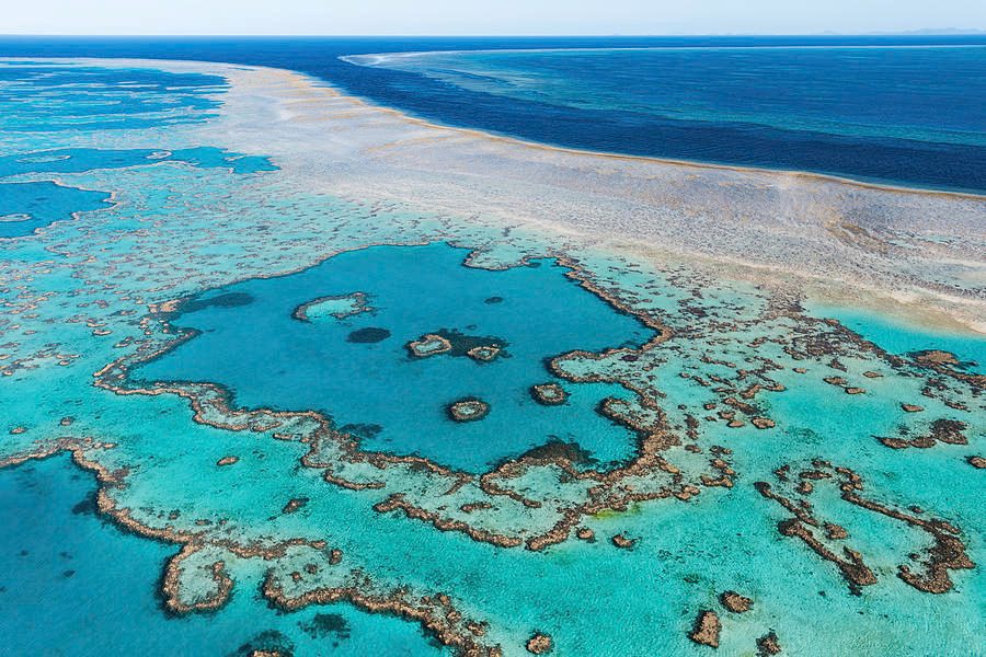 Hardy Reef