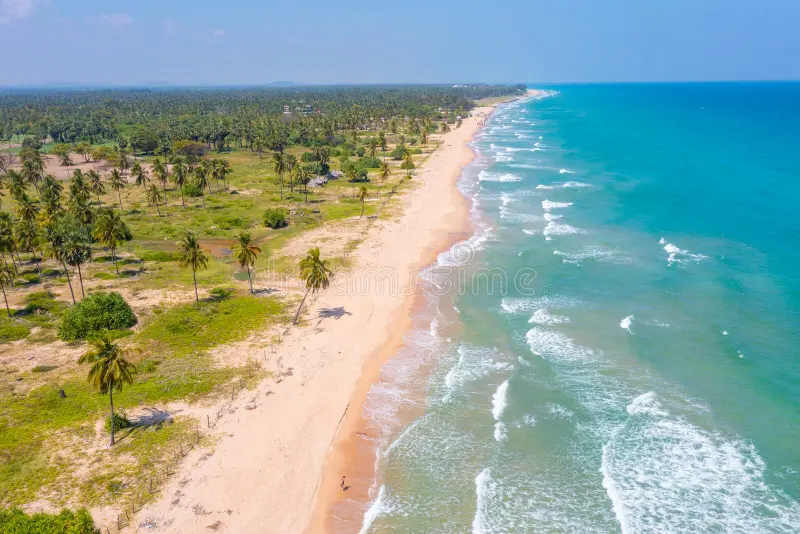 Nilaveli Beach Shoreline