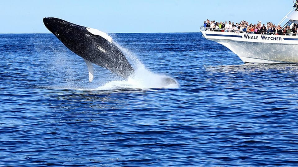 Deep Ocean Transit